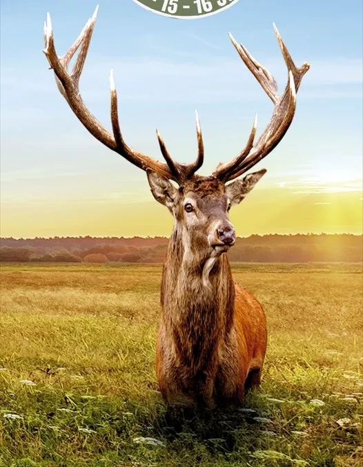 GAME FAIR – ARMES DE CHASSE